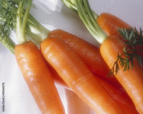 Foto: Carrots with tops Carrots with tops