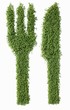 Knife and fork in cress