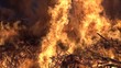 Feuer