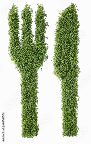 Photo: Knife and fork in cress Knife and fork in cress
