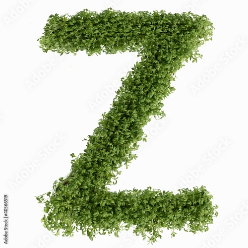 Photo: The letter Z in cress The letter Z in cress