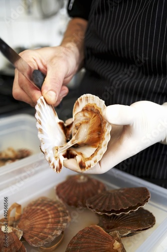 Photo: Opening scallops Opening scallops