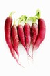 Red radishes