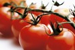 Cocktail tomatoes on the vine
