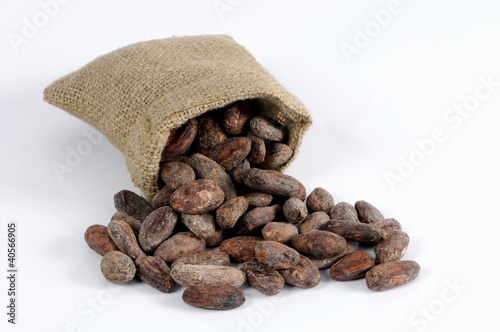 Photo: Cocoa beans in and in front of jute sack Cocoa beans in and in front of jute sack