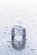 An ice cube on a wet surface