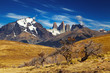 Torres del Paine, Patagonia, Chile