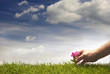 Gardening