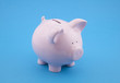 Piggy bank on blue background