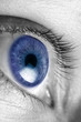 Bright blue eye closeup
