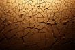 Dried cracked earth