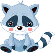 Fun zoo. Raccoon