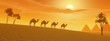 Camels in the desert