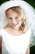 Photo: Wedding Dress Wedding Dress