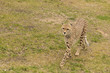 Thüringer Zoopark