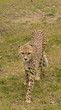 Thüringer Zoopark