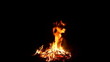 Video: Camp fire Camp fire