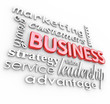 Business Concepts Principles 3D Words Background