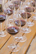 Wine Tasting
