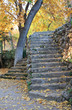 Beautiful autumn park with old stone stairs Beautiful autumn park with old stone stairs