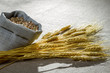 Closeup wheat seed on canvas