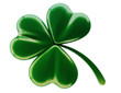 Green clover