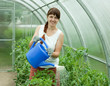 woman watering plants