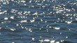 Sea and Wave in Masuhogaura,Ishikawa,Japan