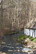 Stream in the Forest