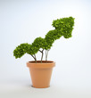 Potplant shaped like a graph