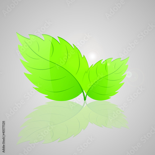 Vector: Background with fresh green leaves. Vector illustration. Background with fresh green leaves. Vector illustration.