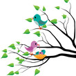 Vektor: Spring birds Spring birds