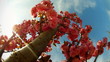 Cherry tree (with pink flower)
