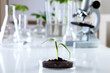 Green plants in biology laborotary