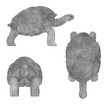 3d render of geochelone nigra