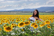Sunflower field in Bulgaria Sunflower field in Bulgaria