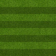 Seamless Artificial Grass Field Texture