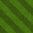 Seamless Artificial Grass Field Texture