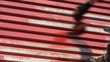 Painting roof of a private house, close-up