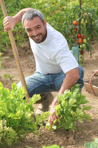 Photo: Man tending to his garden Man tending to his garden