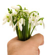 flower in hand