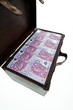 Truhe mit Euro Banknoten. Finanzkrise, Krise, Schu Truhe mit Euro Banknoten. Finanzkrise, Krise, Schu