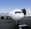 plane parked in airport plane parked in airport