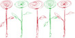 grünrote Rosen