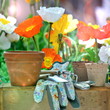 Gartenwerkzeug