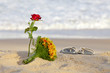 Rosa e Mar