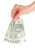 Polish money isolated in hand