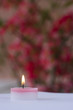 A pink candle A pink candle