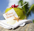 Caribbean paradise beach coconuts cocktail