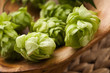 Hop cone and leaves